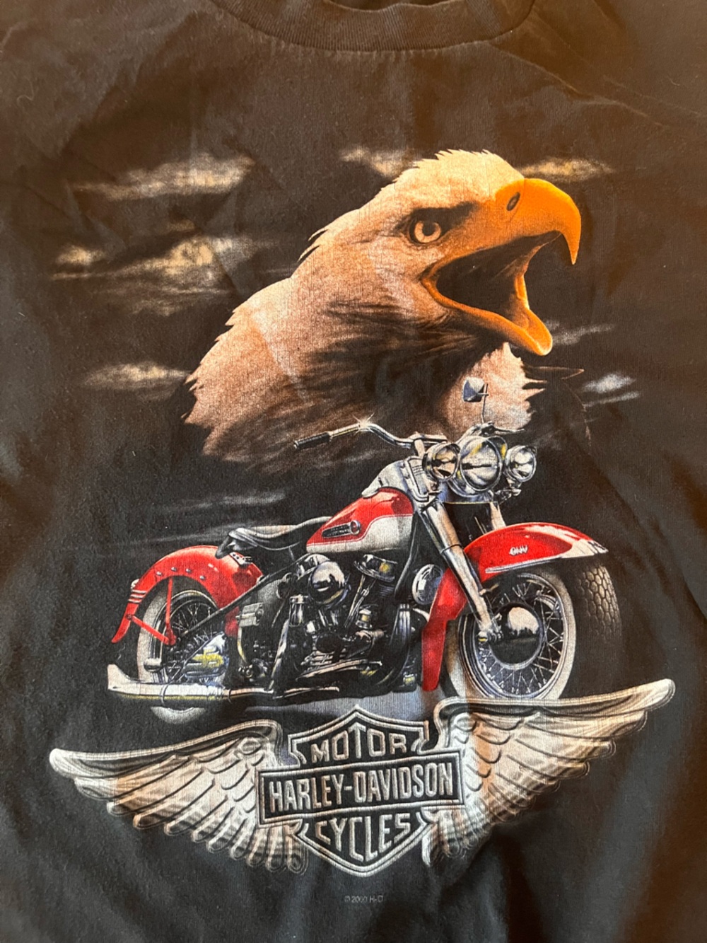 ***VINTAGE 2000***Harley-Davidson Eagle & Red Motorcycle Graphic Tee**GERMANY**